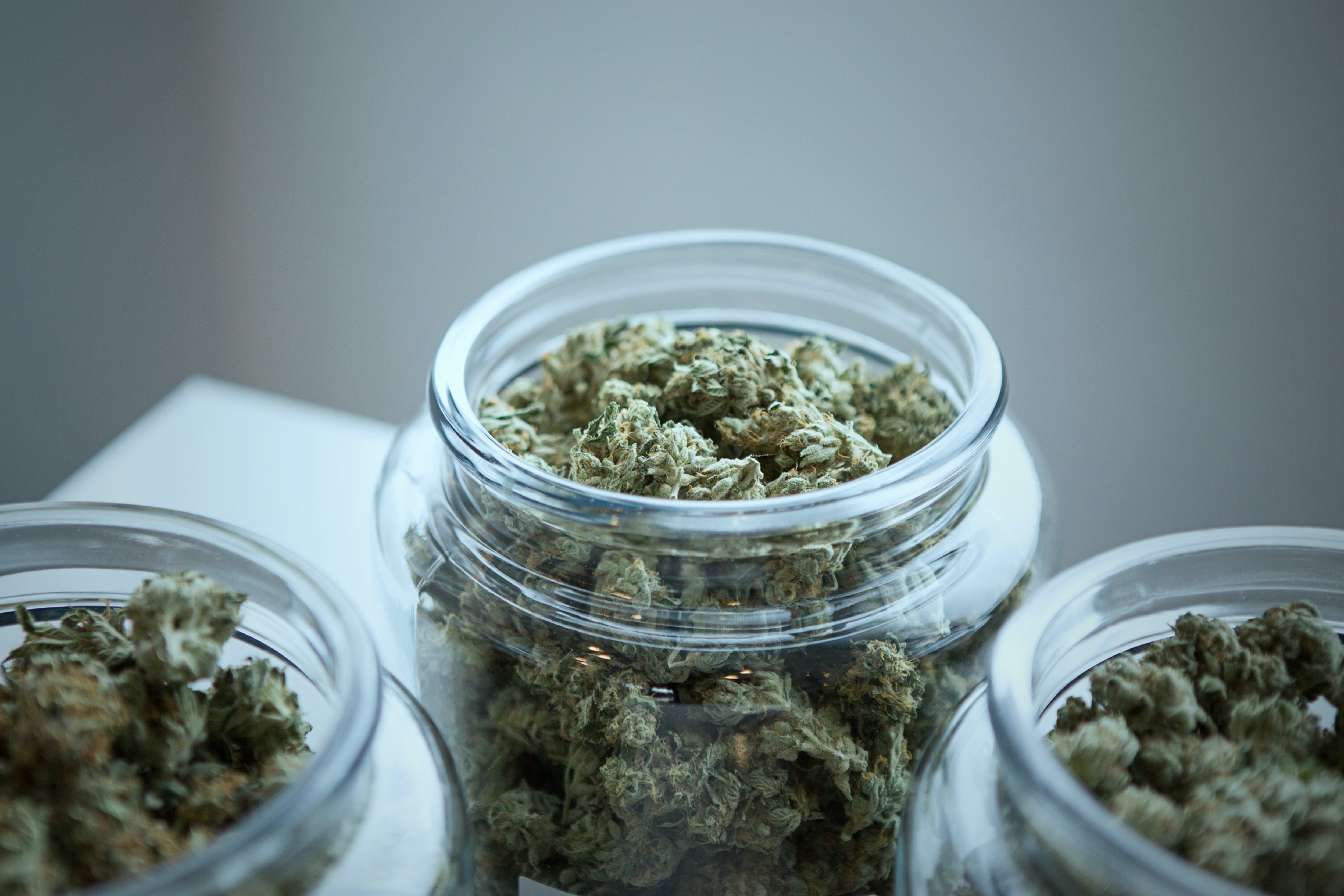 cannabis jar at dispensary